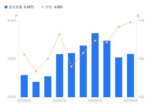 中泰化學A股股東結構變動分析 戶數增加，持股集中度略降