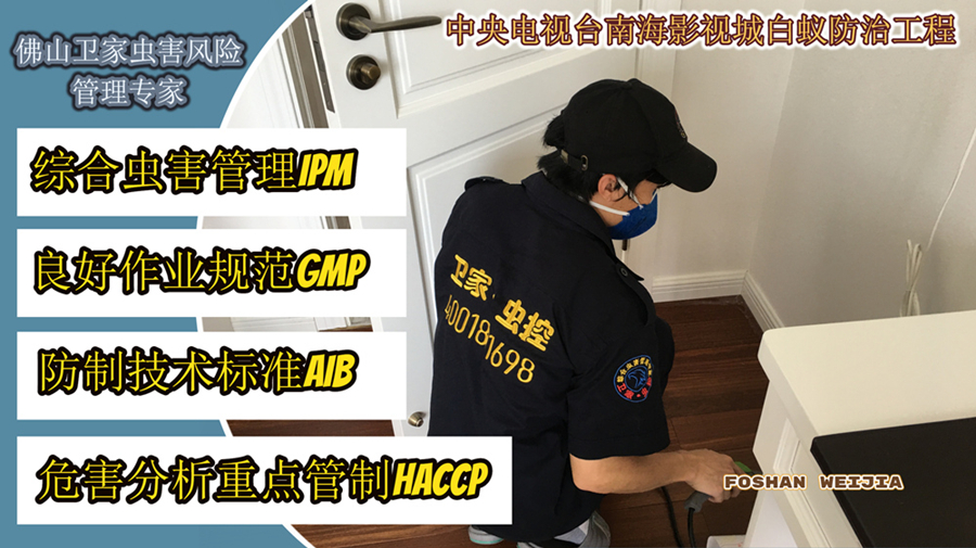 大良白蟻防治所 專業(yè)滅治白蟻，守護(hù)家園安全